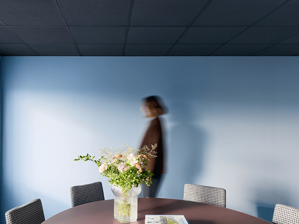 Black suspended ceiling